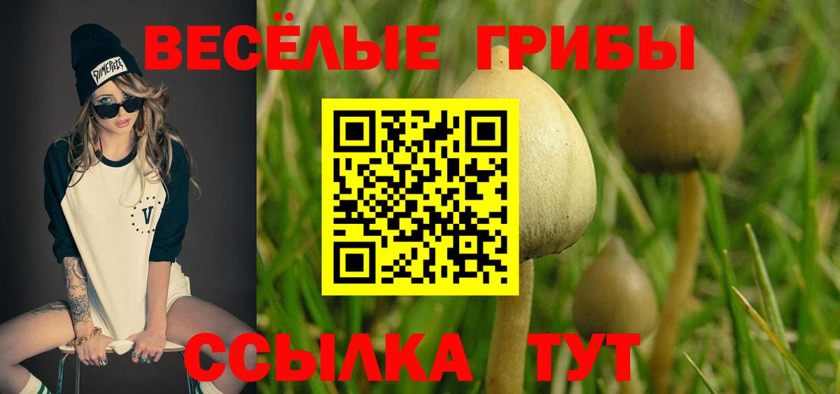 Псилоцибиновые грибы Psilocybe  Вход с VPN  Нягань  Галлюциногенные грибы ЛСД 